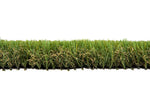 Hollybrook Grass
