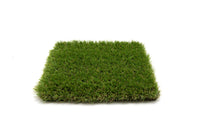 Hollybrook Grass